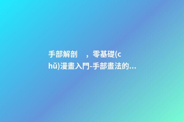 手部解剖，零基礎(chǔ)漫畫入門-手部畫法的解剖-第1張-觀點-玄機(jī)派